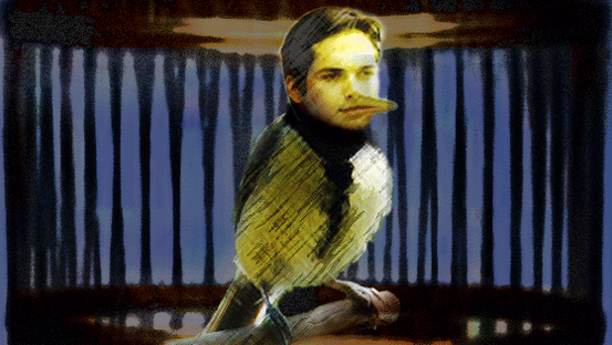 Nach dem Singen ist vor dem Käfig oder Reality-Soap à la Formel1: Nelson Piquet jr. als Vögelchen im selbstgebauten Käfig.