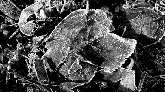 Frost in NRW
